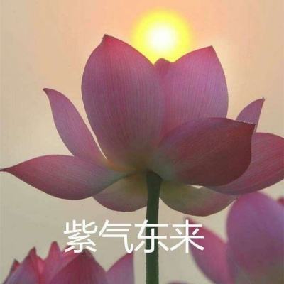 360游戏绝世仙王下载